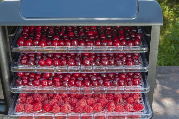 Сушилка для овощей и фруктов не остывает всё лето