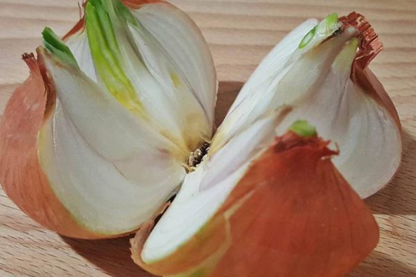 Она разрезала луковицу на 4 части и разложила их по всему дому. Причина этому гениальна!