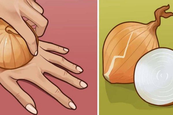 Сырой лук — источник молодости и сильнейший регенератор клеток! Берем самую обычную луковицу…