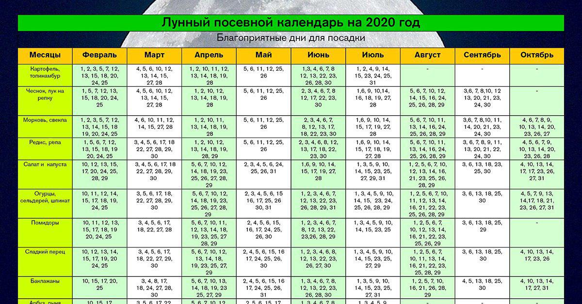 Лунный посевной календарь года. Лунный календарь 2020 год для посадки пересадки растений. Лунный календарь на 2020 года садовода и огородника таблица. Таблица посадки огородных растений по лунному календарю 2020. Лунный календарь для посева семян на рассаду 2020 года.