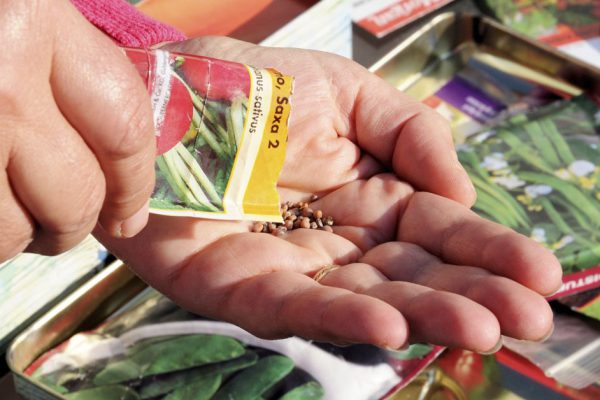 Лунный посевной календарь на год Быка