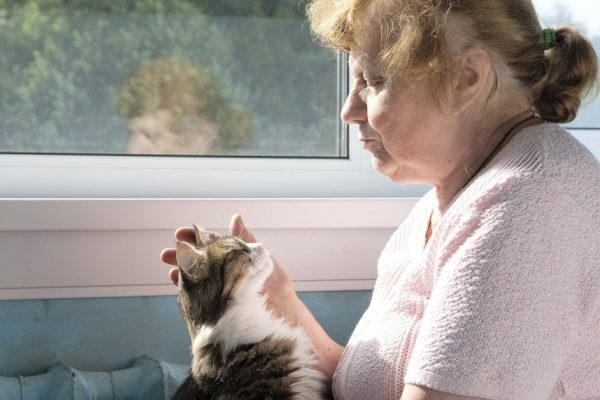 Информация для кошатников: что происходит с человеком, когда он гладит кота