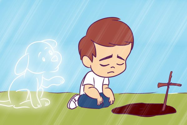 Насколько сильно дети любят своих питомцев