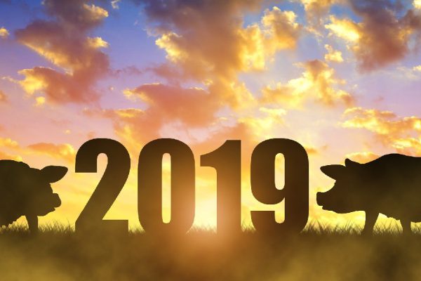 Любовный гороскоп на год Свиньи для каждого знака зодиака