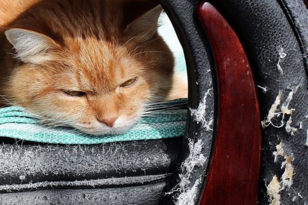 Добросердечная медсестра ухаживала за бабушкой и унаследовала ее диван, когда старушка отправилась в лучшие миры