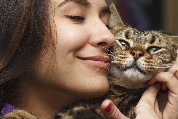 Ласковые и умиротворенные знаки зодиака