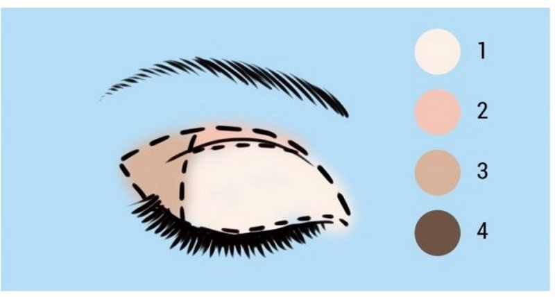 Как правильно наносить тени для глаз советы, глаза, красота, лайфхаки, макияж, мода, тени