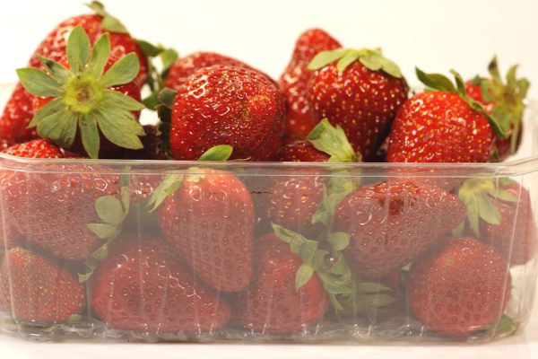 Бабушка укрылась от внуков и ела клубнику одна, не желая делиться