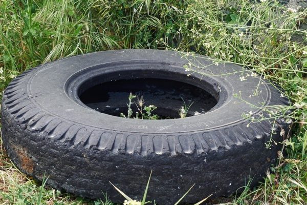 Подборка идей по созданию декоративных водоемов для дачи своими руками