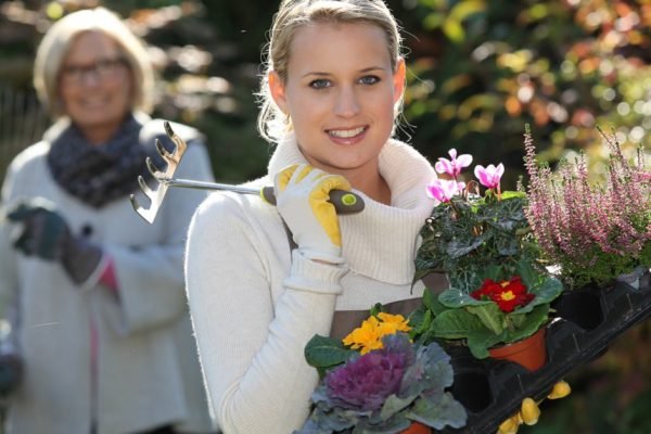 Свекровь попросила купить ей цветы в горшках, а деньги возвращать не собирается