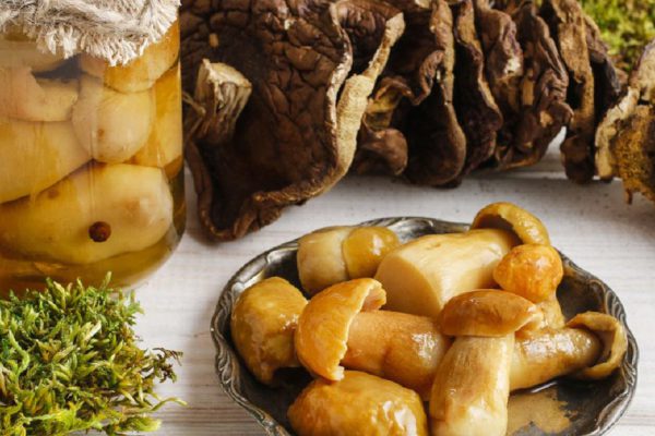 Рецепт маринада для грибов