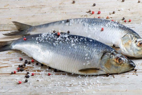 Рецепт маринада для сельди