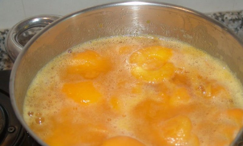 домашний мармелад из абрикосов