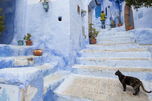 Порой так хочется уехать из Марокко, останавливаю себя, чтобы не наделать глупостей