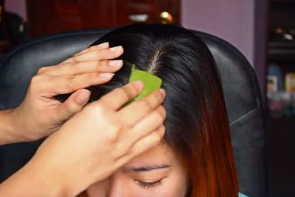 Сначала ей нанесли на волосы сок алоэ, а потом эту маску. Результат — перхоти как не бывало!