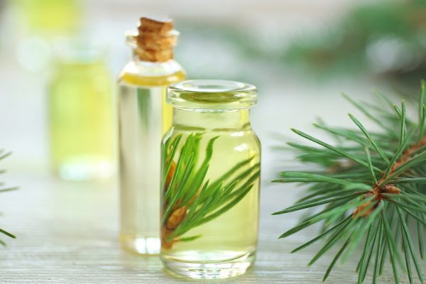 Bottles of pine essential oil on wooden table