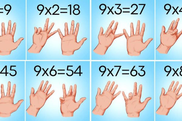 Математические задачи на логику, решение которых вызывает экстаз и чувство глубокого удовлетворения