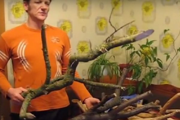 Мужчина насобирал кучу коряг в лесу… Трудно поверить, что из них получается такая красота!