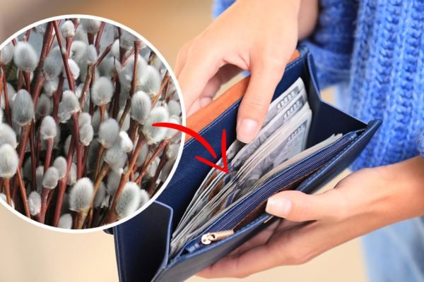 Древний ритуал, который привлечет деньги и богатство, просто положи веточку в кошелек