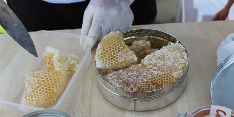 медовые соты польза