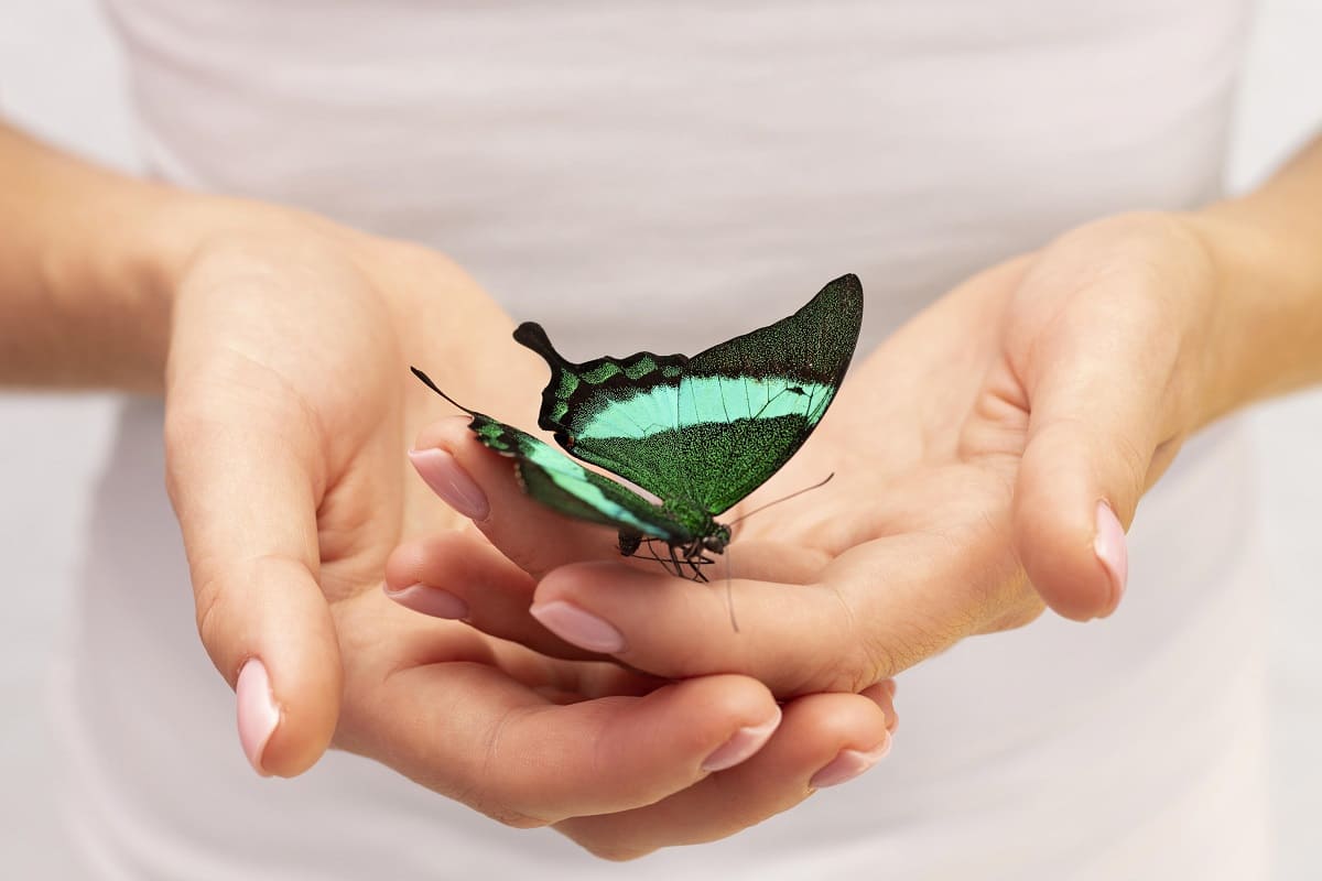 гороскоп для знаков зодиака