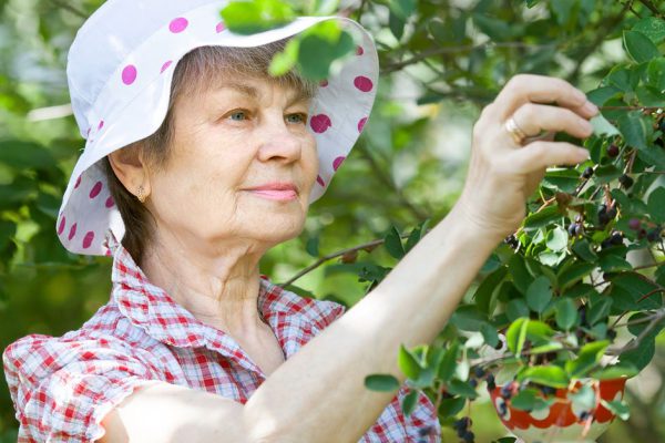 Мама ударилась в огородничество и не помогает с внуками, прошу совета
