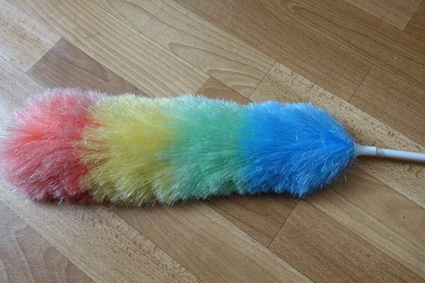 Для чего нужен пипидастр и пригоден ли он в быту