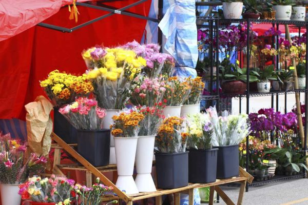 Запретила мужу дарить мне цветы, в цветочном узнала, что розы продают на спичках, а тюльпаны подкрашивают