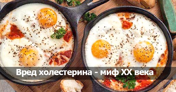 Вред холестерина: миф, который граничит с обманом. Исследования известного хирурга меняют всё…