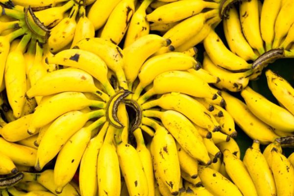 Сколько бананов нужно съесть, чтобы умереть? Шокирующие цифры!