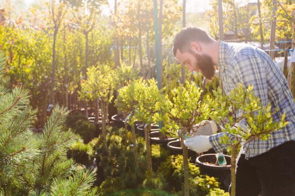 Hipster gardener working in the garden in the city