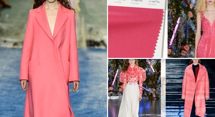 фруктовый голубь