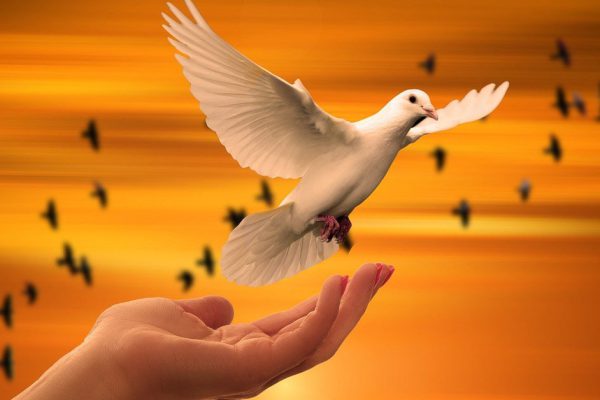 Какими словами обратиться к Господу, чтобы он даровал мир всему миру, сильные молитвы