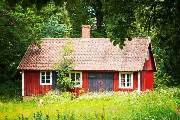 Много лет назад я отринула свою деревенскую жизнь, потом и вовсе уехала за границу, но вот недавно меня потянуло домой к маме и сестре