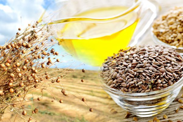 Зачем употреблять молотые семена льна