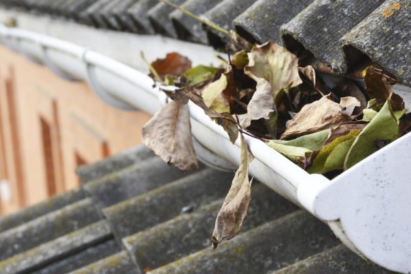 Соседский трюк для защиты водосточной системы, чтобы она не забивалась листьями