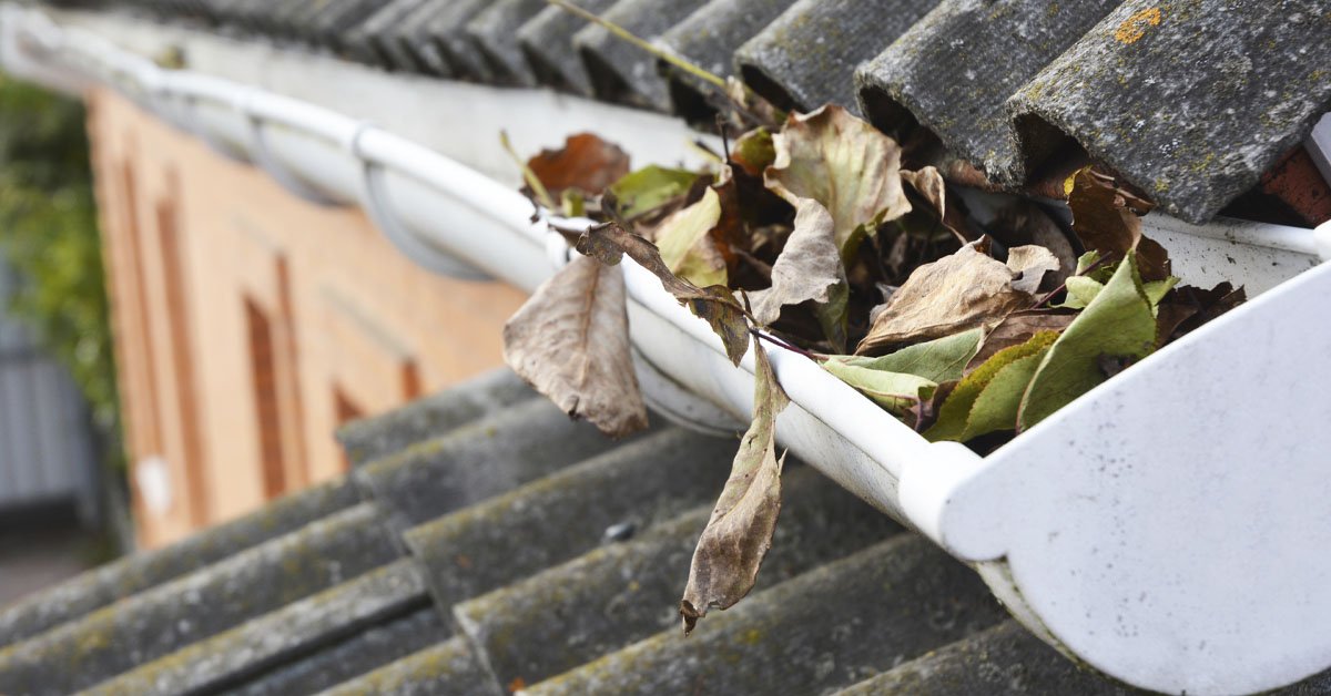 Монтаж водосточной системы и ее защита от опавшего листья