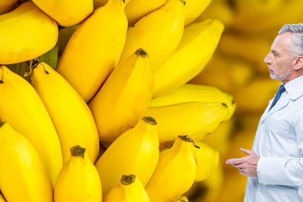 Можно ли есть бананы каждый день