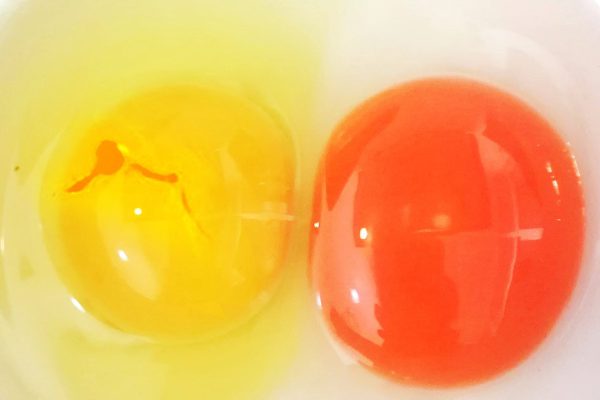 Обнаружила в сыром яйце красное пятнышко, боюсь его есть, звоню свекрови получить совет