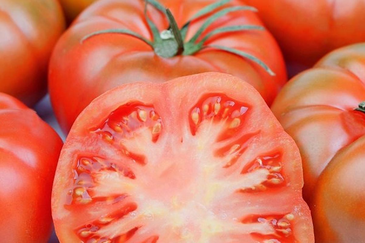 Трещины на помидорах. Белые прожилки в помидорах. Самые вкусные помидоры. Помидор внутри. Почему помидоры красные