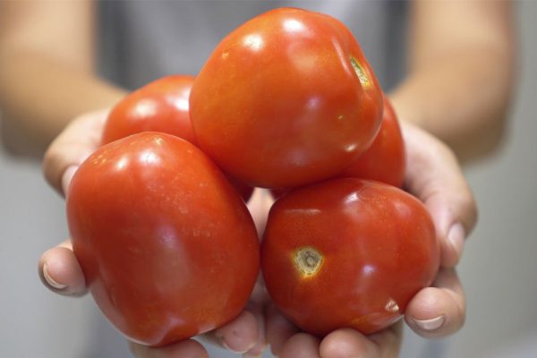 Можно ли есть безвкусные помидоры из супермаркета или лучше всё-таки выбросить