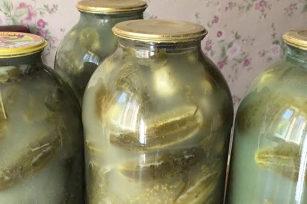 Большинство хозяек допускают одну ошибку, видя огурцы, в которых помутнел рассол, не делай так