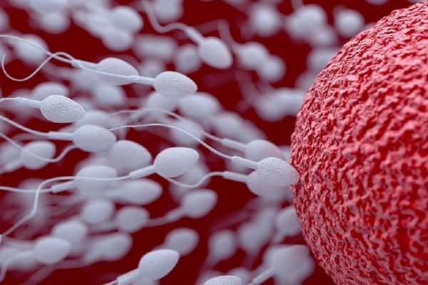 7 признаков здоровой спермы: вот как можно уберечь мужскую плодовитость!