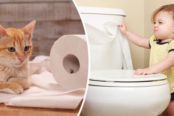 Туалетная бумага и другие покупки, на которые пора перестать тратиться