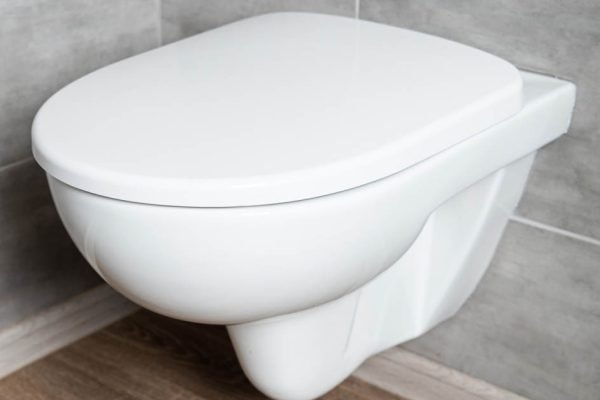 Уезжая из дома надолго, никогда не спускаю воду в унитазе, жизнь научила меня этой хитрости