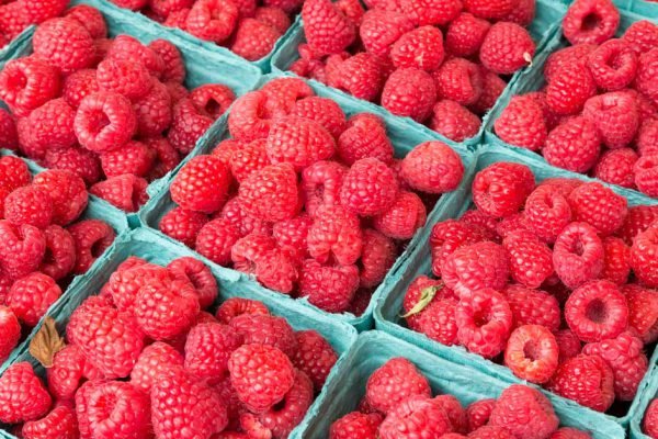 Купила на рынке килограмм малины, дома решила ее помыть, и вот что стало с ягодами после воды