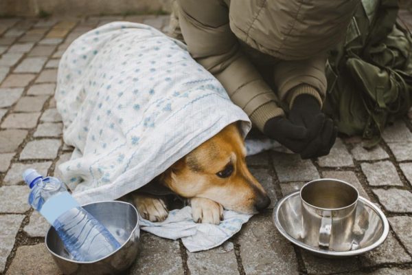 Сюжет из жизни, после которого отпадает желание помогать ближним и помогать нуждающимся