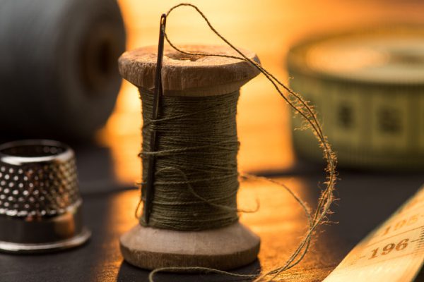 Когда чувствуешь неладное, воткни иголку в это растение, враги сдуются сами собой