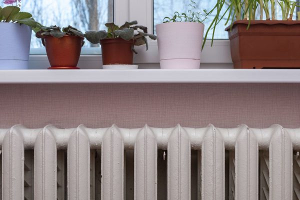 Мать единолично унаследовала всё имущество отца и не желает с нами делиться