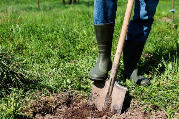 Внук взялся ухаживать за бабушкиным садом после ее ухода, то, что он там обнаружил, изменило его жизнь